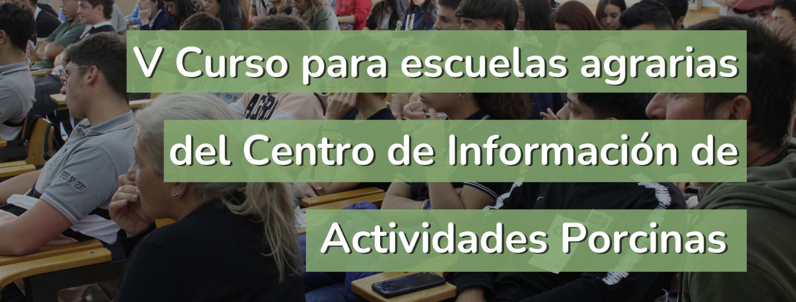 banner cursos escuelas