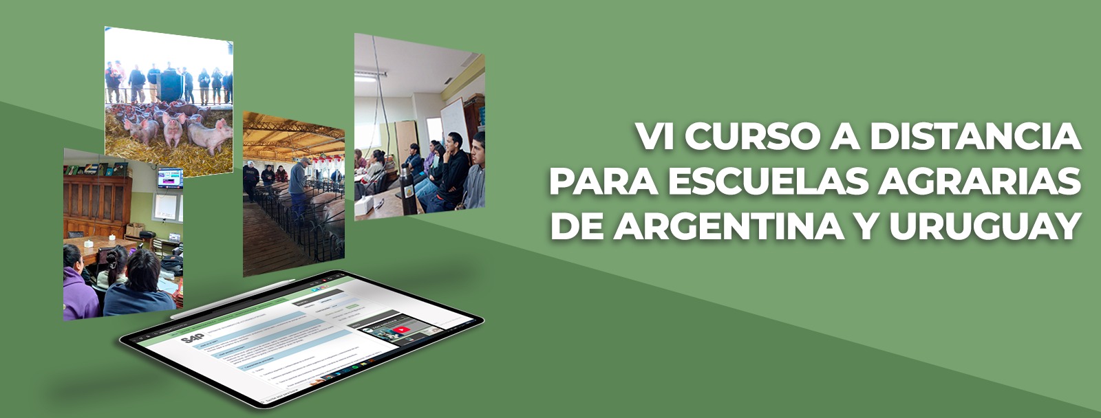 Curso Escuelas
