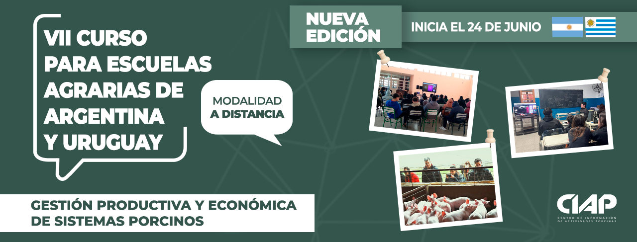 Curso Escuelas
