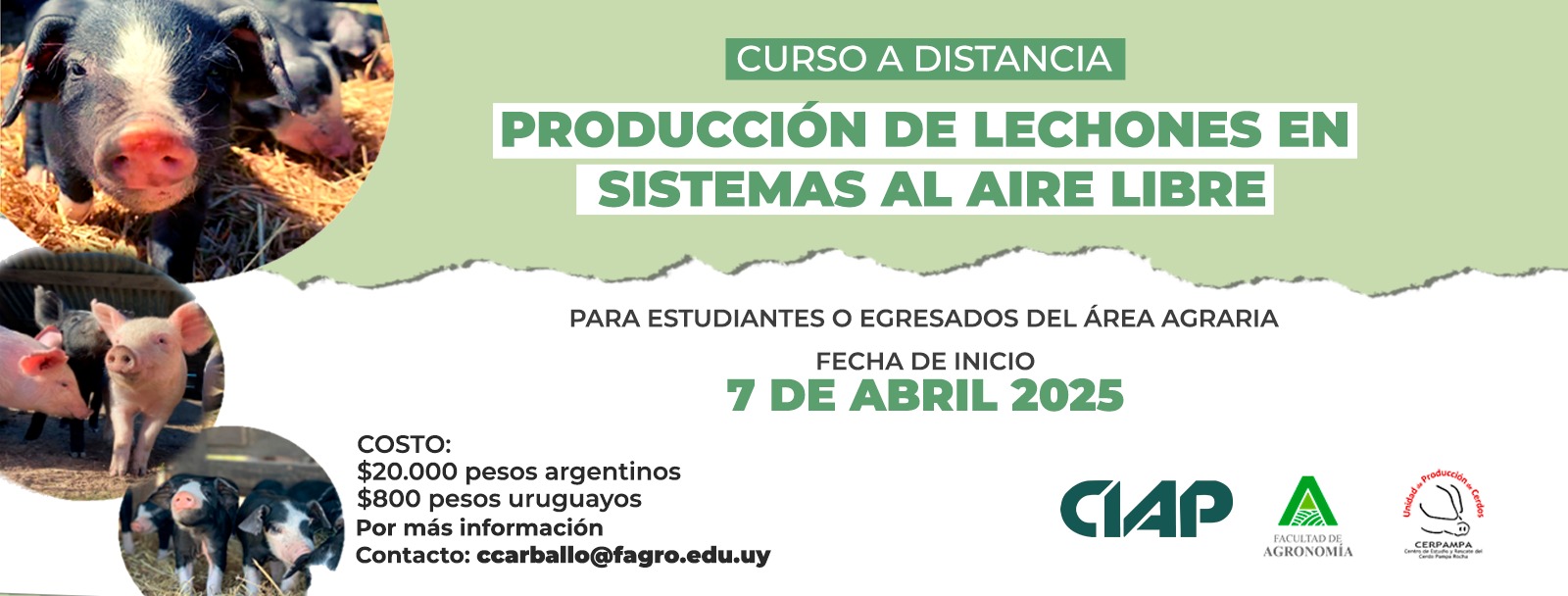 Curso de Produccion de Lechones al aire libre 2025