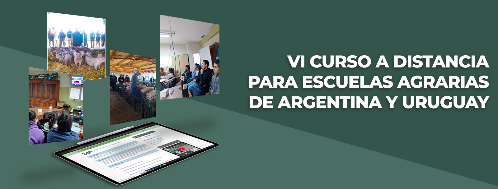 banner cursos escuelas